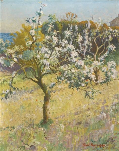 Apple Blossom Oil Painting by Harold Harvey