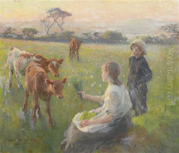 Feeding The Calves Oil Painting by Harold Harvey