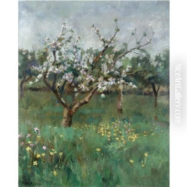 Apple Blossom Oil Painting by Harold Harvey