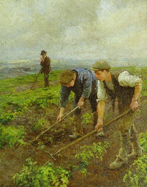 Hoeing Above Mounts Bay Oil Painting by Harold Harvey