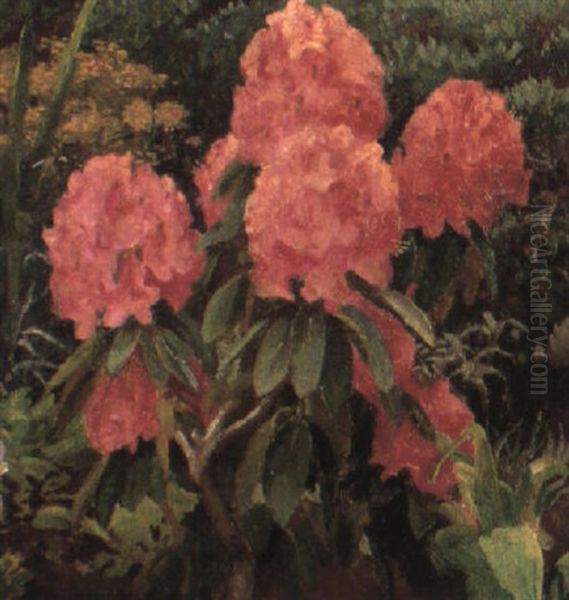 Rhododendron Oil Painting by Harold Harvey