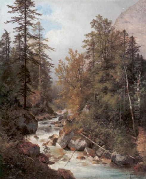 Am Waldbach Strub Bei Der Muhle Oil Painting by Carl Hasch