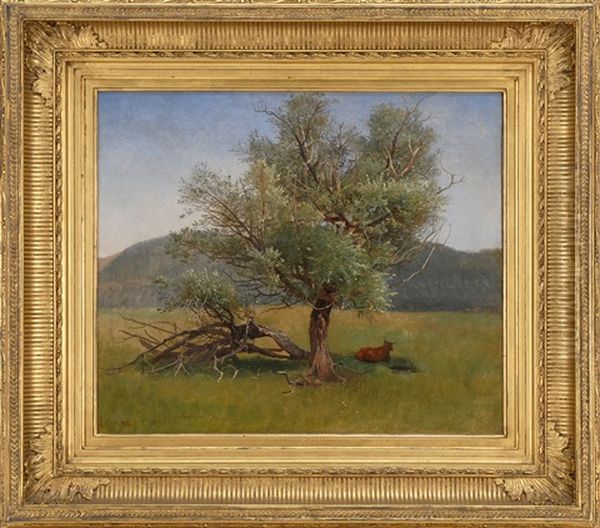 Tree, Lenox, Massachusetts Oil Painting by William Stanley Haseltine