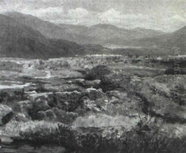 Marsh Country Near Lakein Switzerland Oil Painting by William Stanley Haseltine