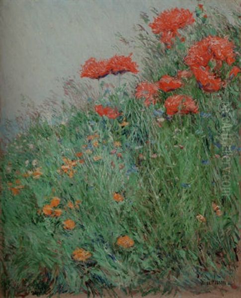 Poppies, Appledore by Childe Hassam