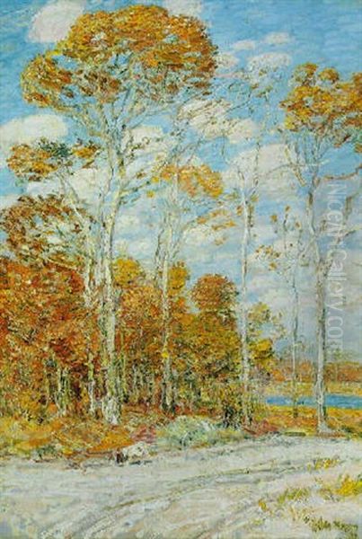 The Hawk's Nest Oil Painting by Childe Hassam