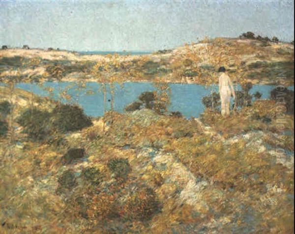 Dune Pool Oil Painting by Childe Hassam