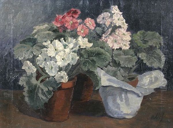 Blumenstilleben Mit Drei Bluhenden Topfpflanzen Oil Painting by Albert Haueisen