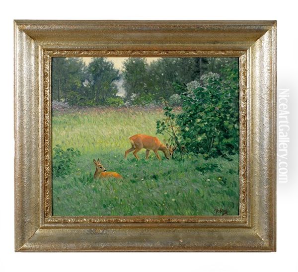 Rehe Auf Einer Wiese Am Waldesrand Oil Painting by Christian Haug