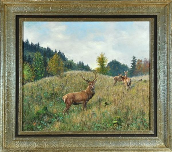 Hirsch Und Hirschkuhe Auf Waldlichtung Oil Painting by Christian Haug