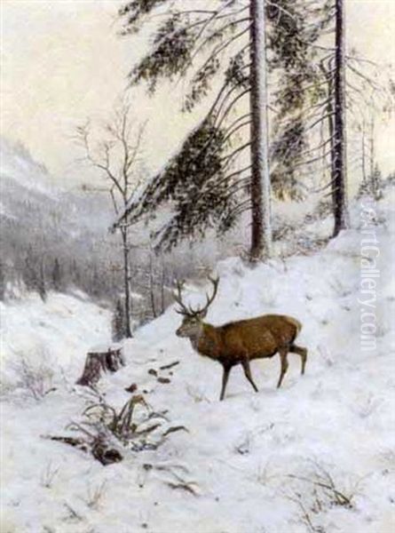 A Stag In A Winter Forest Oil Painting by Christian Haug