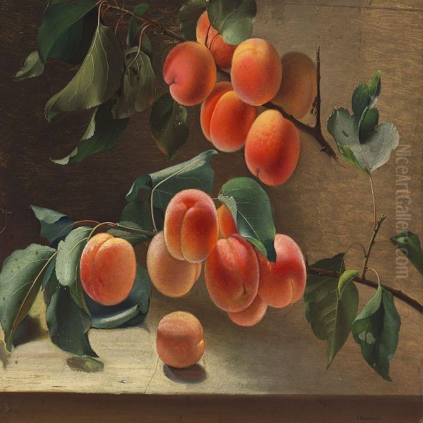 Branches Of Fully Ripened Abricots Oil Painting by Carl Vilhelm Balsgaard