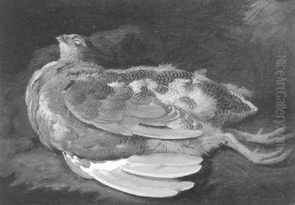 Lord Powis's Grouse, Still Life Of A Dead Grouse Oil Painting by Moses Haughton the Younger