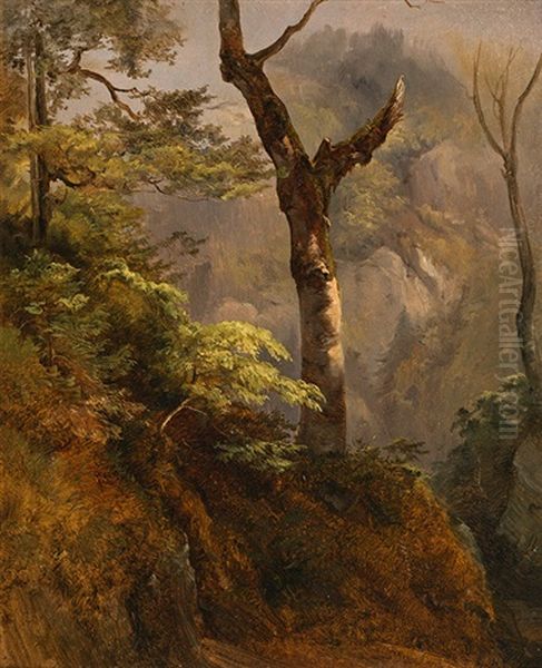 Study Of A Tree Oil Painting by Karl Franz Emanuel Haunold