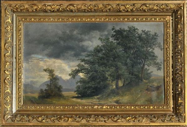 Landschaftsstudie Bei Salzburg Oil Painting by Karl Franz Emanuel Haunold