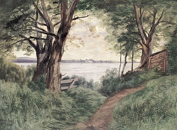 Motiv Bei Feldwiesen Am Chiemsee Oil Painting by Josef Haunstetter