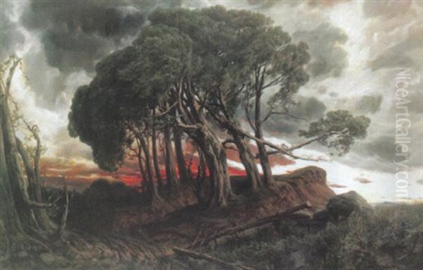 Prachtvoller Sonnenuntergang Mit Malerischer Baumgruppe Oil Painting by Josef Haunstetter