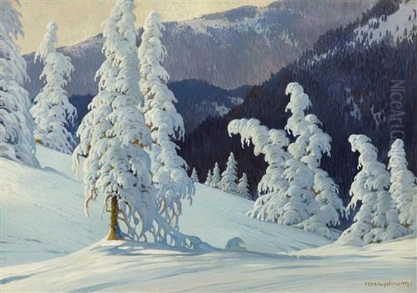 Snow-covered Fir Tree On Feldberg Oil Painting by Karl Hauptmann