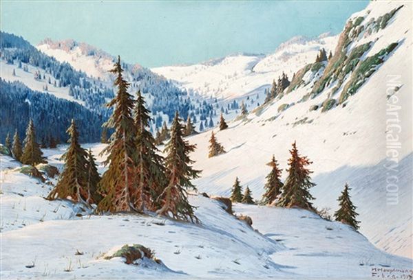 Schneebedeckte Berglandschaft Mit Nadelbaumen Oil Painting by Karl Hauptmann