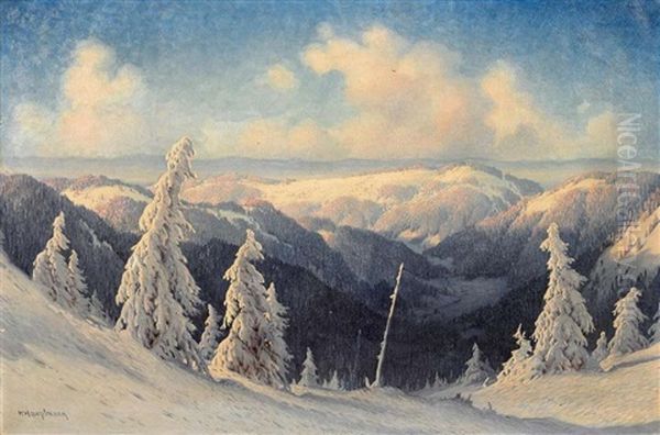 Sonniger Wintertag Im Schwarzwald Oil Painting by Karl Hauptmann