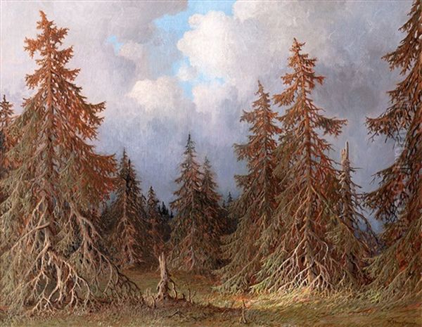 Tannenwald Bei Wetterumschwung Oil Painting by Karl Hauptmann