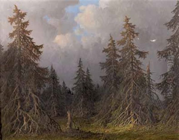 Schwarzwald - Tannen Am Fruhen Abend - Tannenwald Oil Painting by Karl Hauptmann