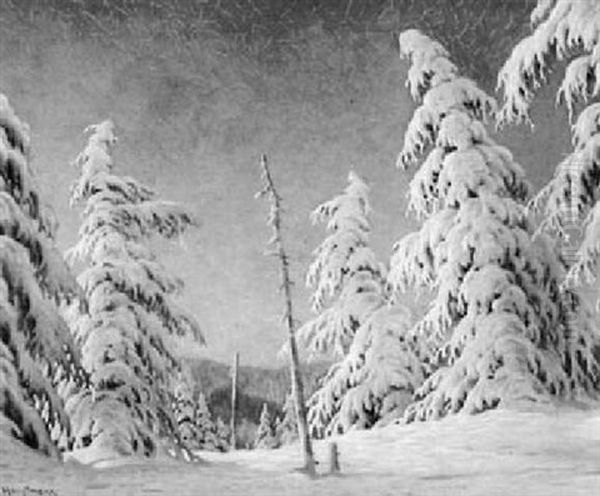 Am Stubenwasen. Feldberg Oil Painting by Karl Hauptmann