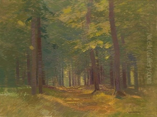 Interior Of The Forest Oil Painting by Roman Havelka