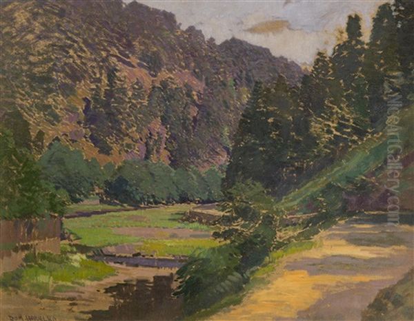 The River In The Valley Oil Painting by Roman Havelka