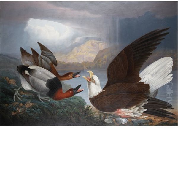 Death Of A Warrior: White Headed Eagle, Canvas Back Duck And Young (the Death Of A Tyrant) Oil Painting by Robert Havell Jr.