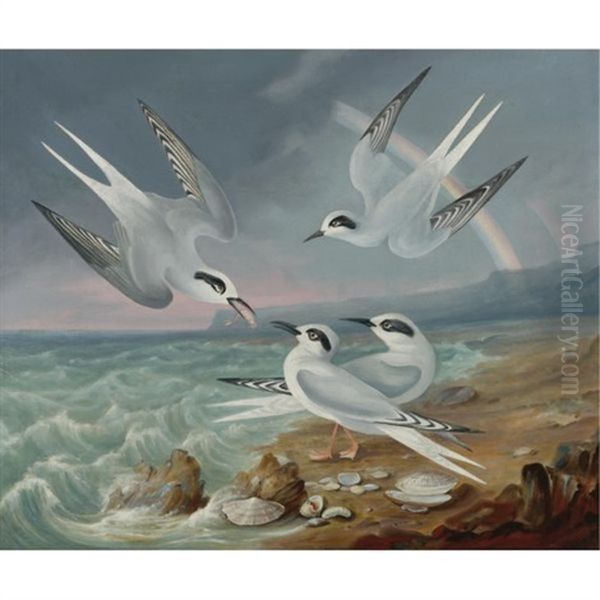 Havell Terns At The Shore Oil Painting by Robert Havell Jr.