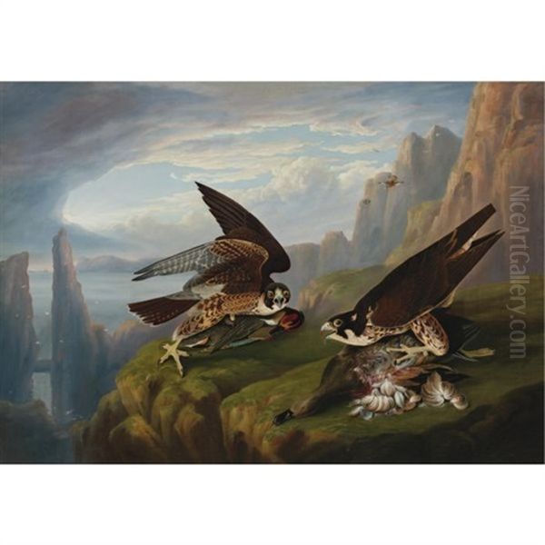 Peregrine Falcon (great-footed Hawk) Oil Painting by Robert Havell Jr.