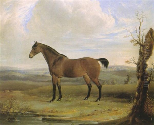 A Bay Horse In A Landscape Oil Painting by Edmund Havell the Younger