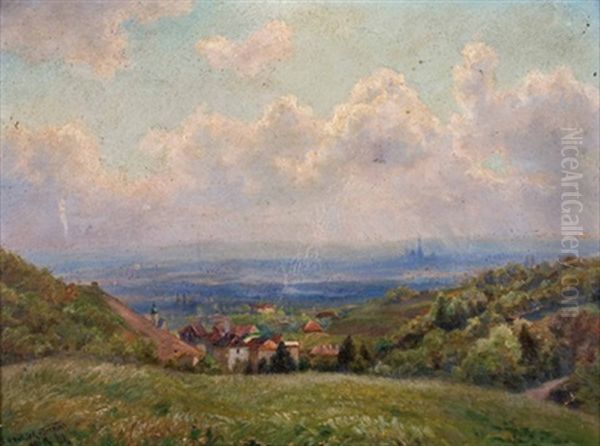 Grinzing Von Der Kobenzlstrase Gesehen Oil Painting by Jan Trentan Havlicek