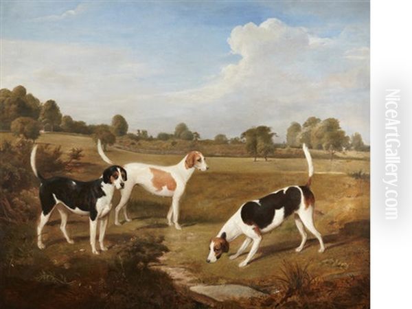 Three English Foxhounds In A Landscape Oil Painting by Henry A. Hawkins