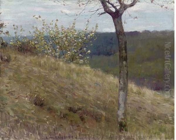 Trees In Blossom On A Hillside Oil Painting by Louis Welden Hawkins