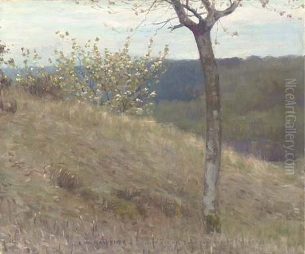 A Landscape With Blossom Oil Painting by Louis Welden Hawkins