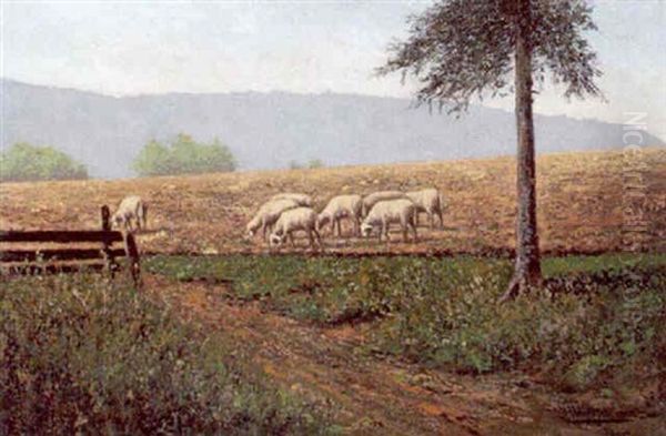 Schafe Auf Der Weide Oil Painting by Vincenz Hawlicek