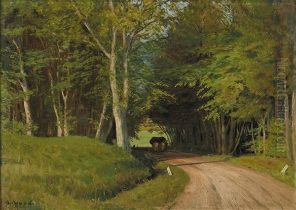 Waldweg (haselgraben) Oil Painting by Karl Hayd