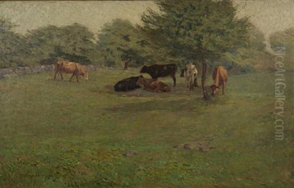 Cows At Pasture Oil Painting by Charles Henry Hayden