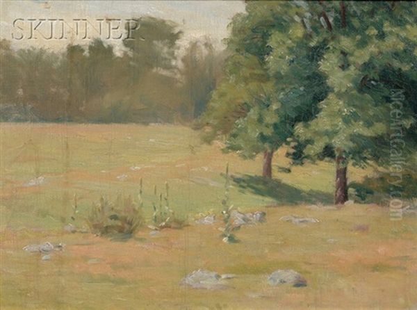 Summer Pasture Oil Painting by Charles Henry Hayden