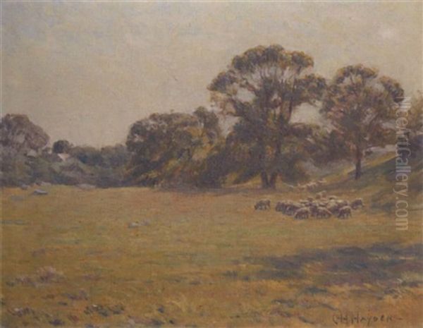 Sheep Grazing In A Meadow Oil Painting by Charles Henry Hayden