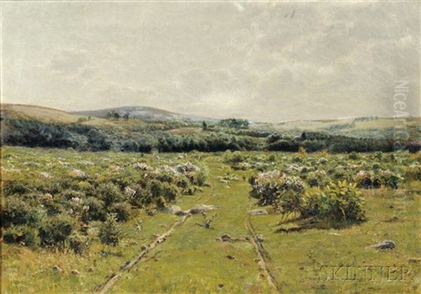 Summer Landscape With Field And Paths Oil Painting by Edward Parker Hayden