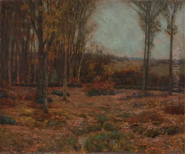 Brown Uplands Oil Painting by Edward Parker Hayden