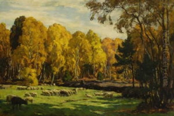 Schafe Auf Der Weide Vor Herbstlichem Birkenwald Oil Painting by Hans von Hayek