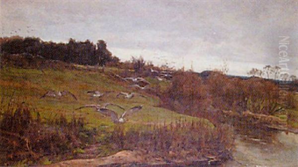 Extensive Country Landscape With Seagulls Oil Painting by Claude Hayes