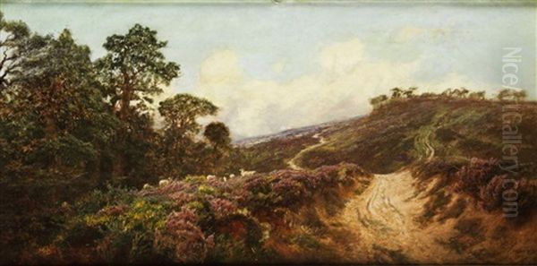 Hugelige Heidelandschaft Mit Hohlweg Und Knorrigen Kiefern Oil Painting by Frederick William Hayes