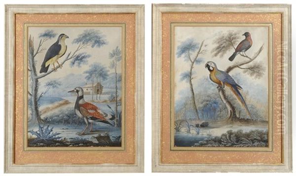 Exotic And Indigenous Birds Within A Landscape (pair) Oil Painting by William Hayes