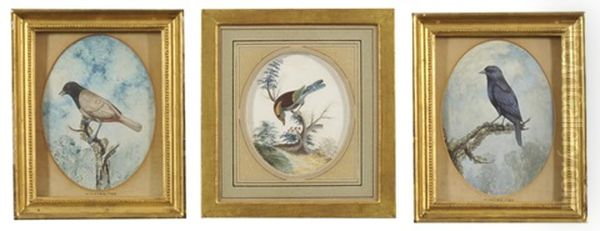 A Sparrow On A Mossy Branch; A Bird On A Mossy Branch; Untitled (3 Works) by William Hayes