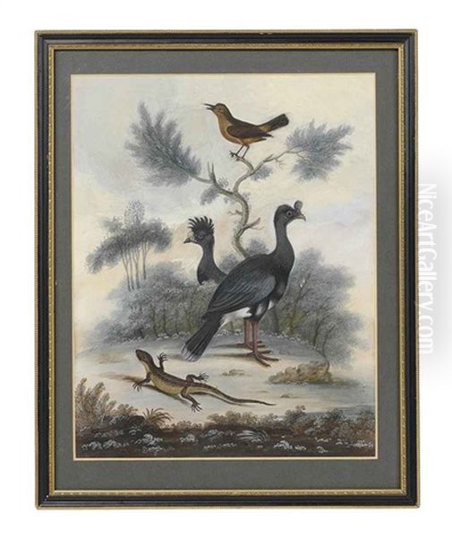 Untitled (bird And Lizard) Oil Painting by William Hayes